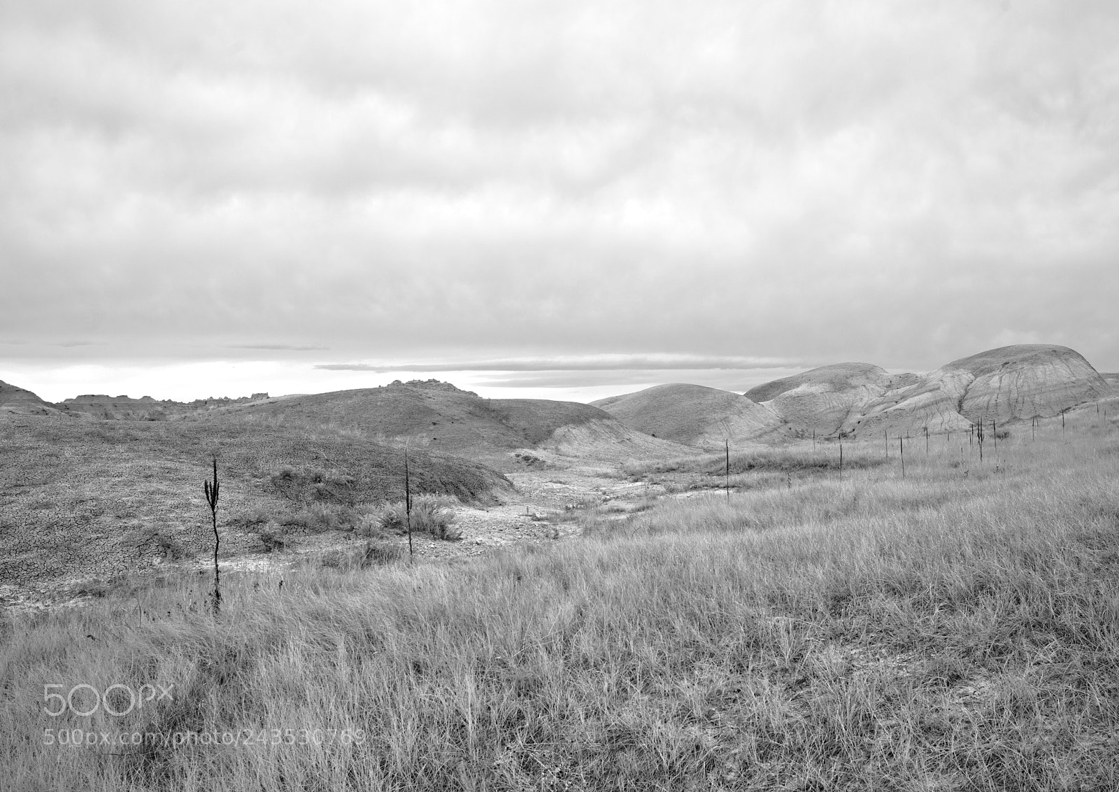 Nikon D800 sample photo. Middle gray photography