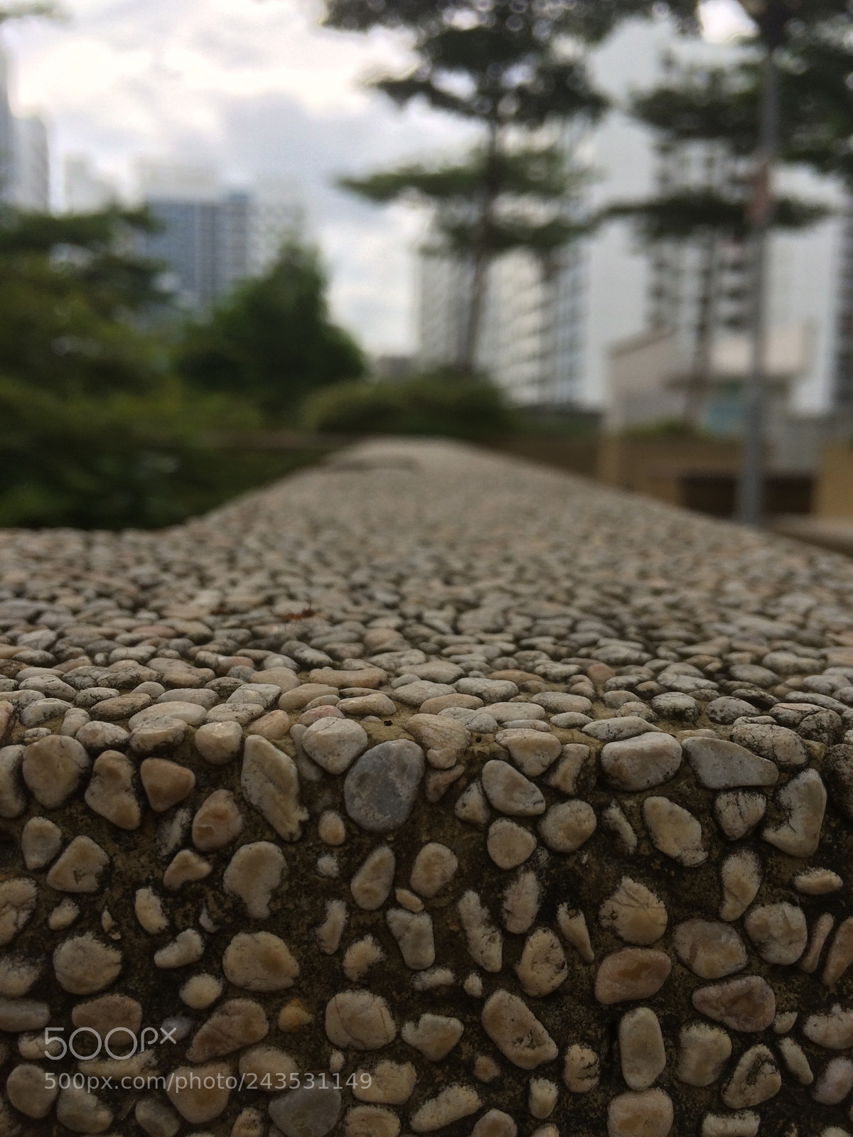 Apple iPhone 5s sample photo. 268a punggol field photography