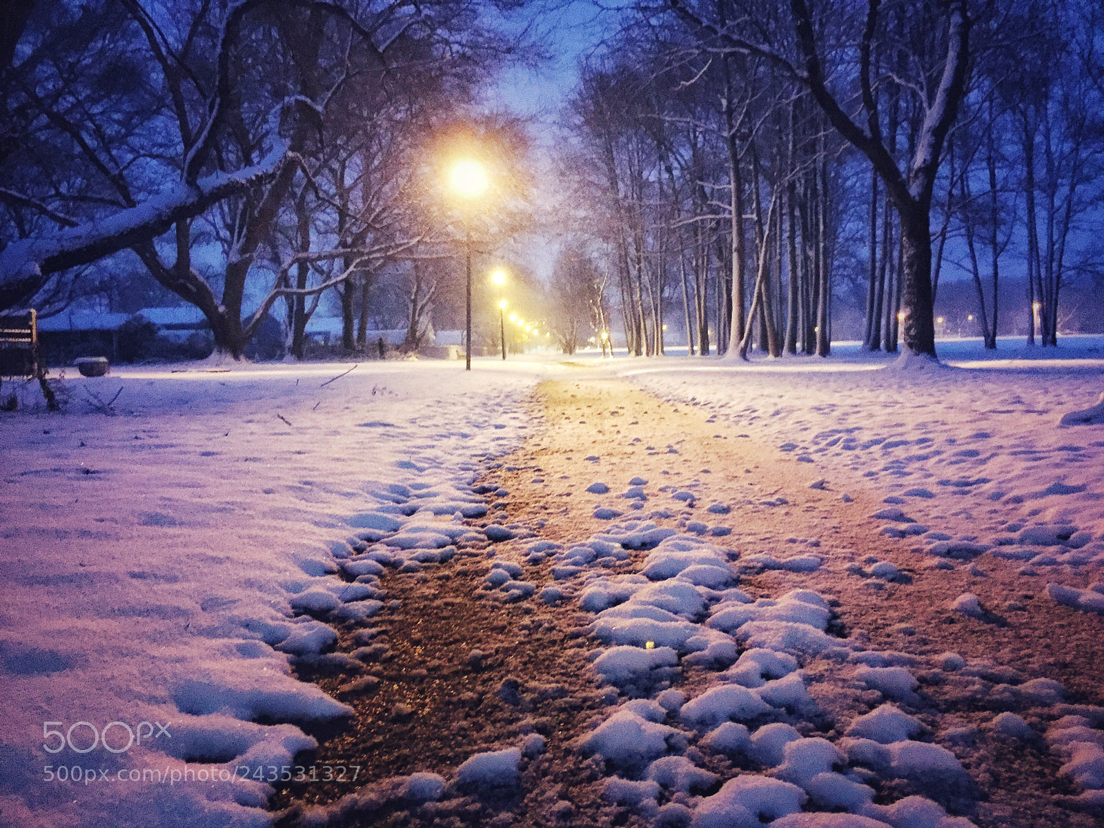 Apple iPhone 6 sample photo. “winter nights walk” photography