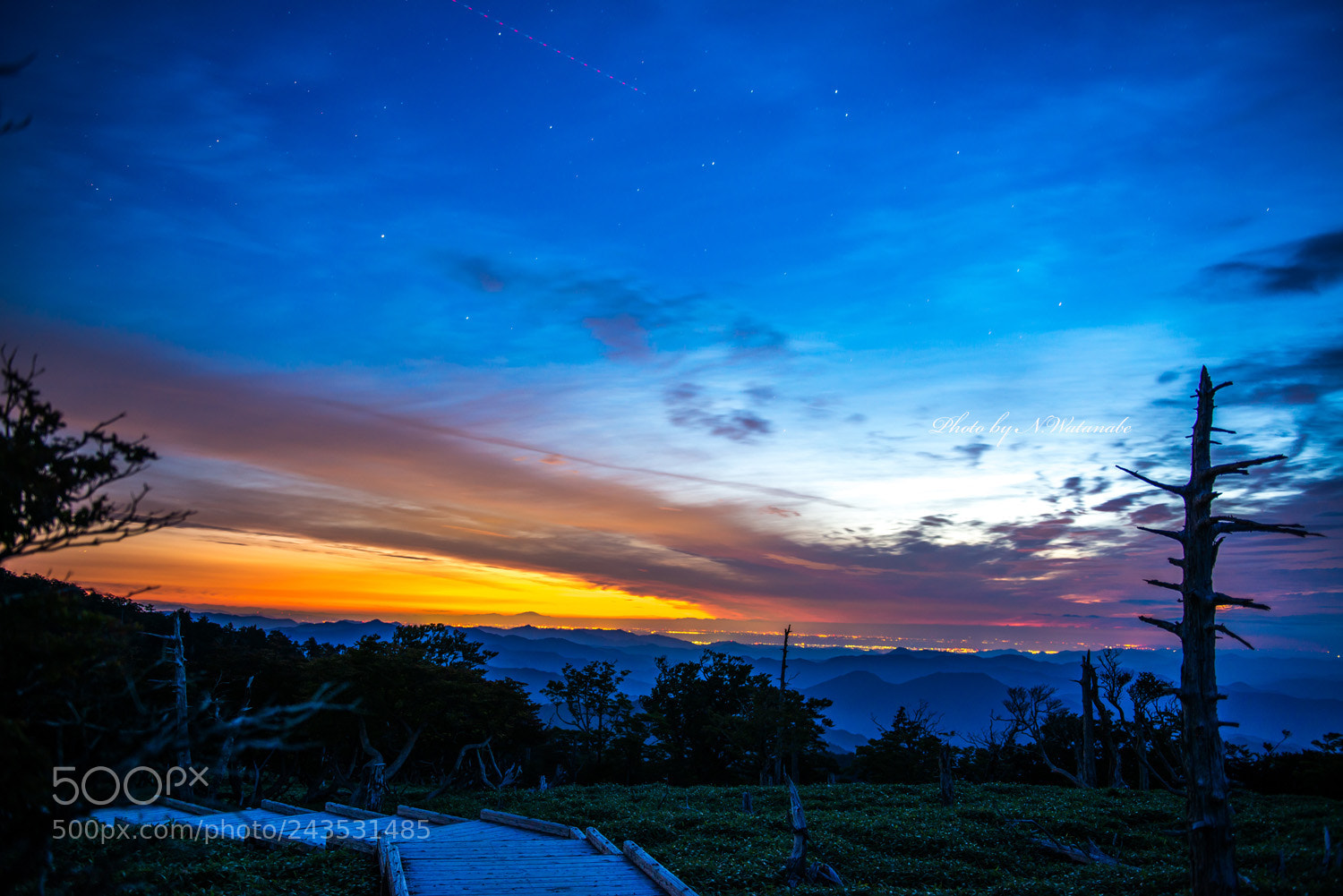 Nikon D800 sample photo. *** photography