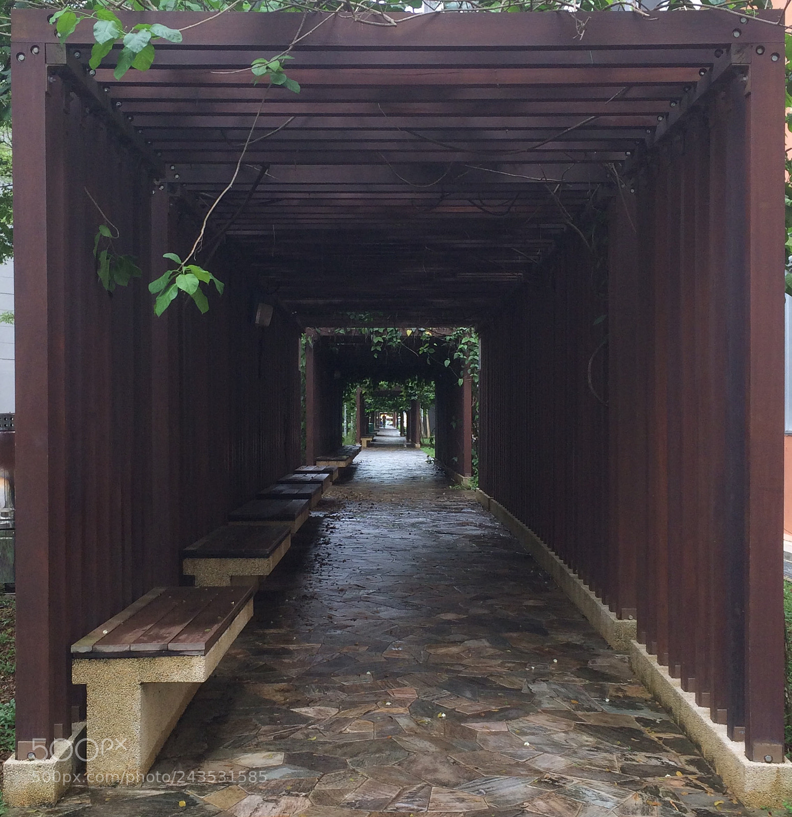 Apple iPhone 5s sample photo. 266c punggol way photography