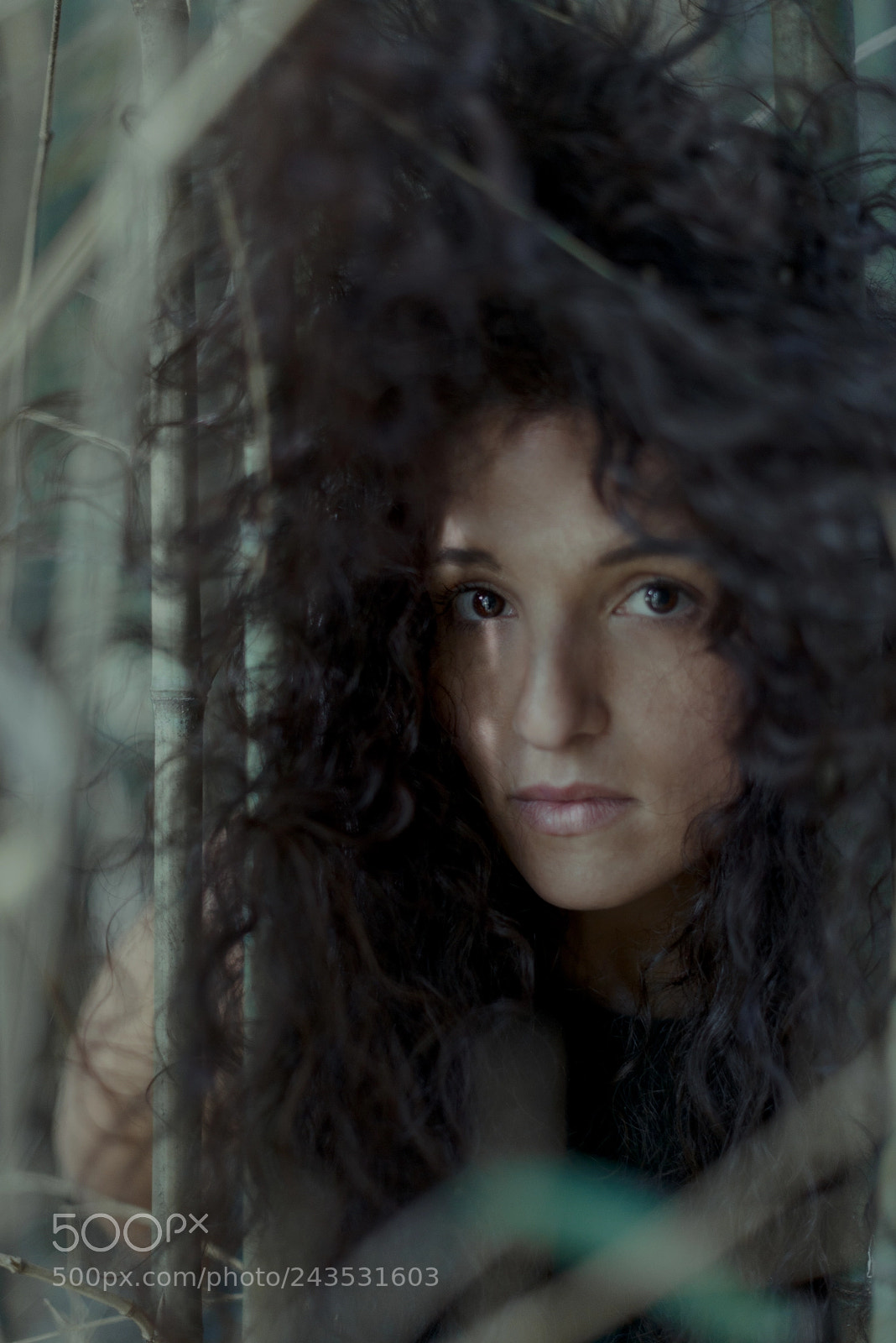 Nikon D800 sample photo. Gc photography