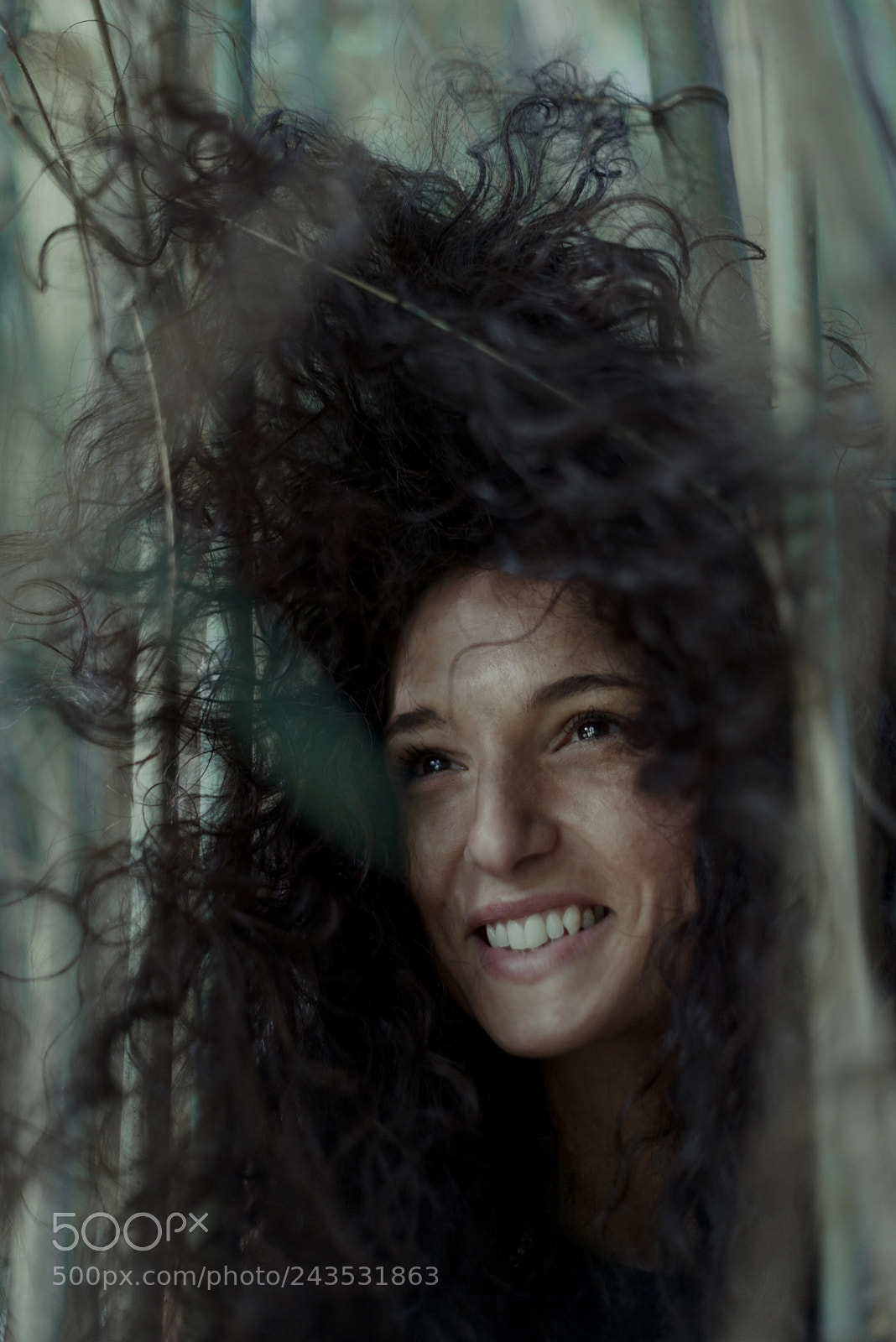 Nikon D800 sample photo. Gc photography