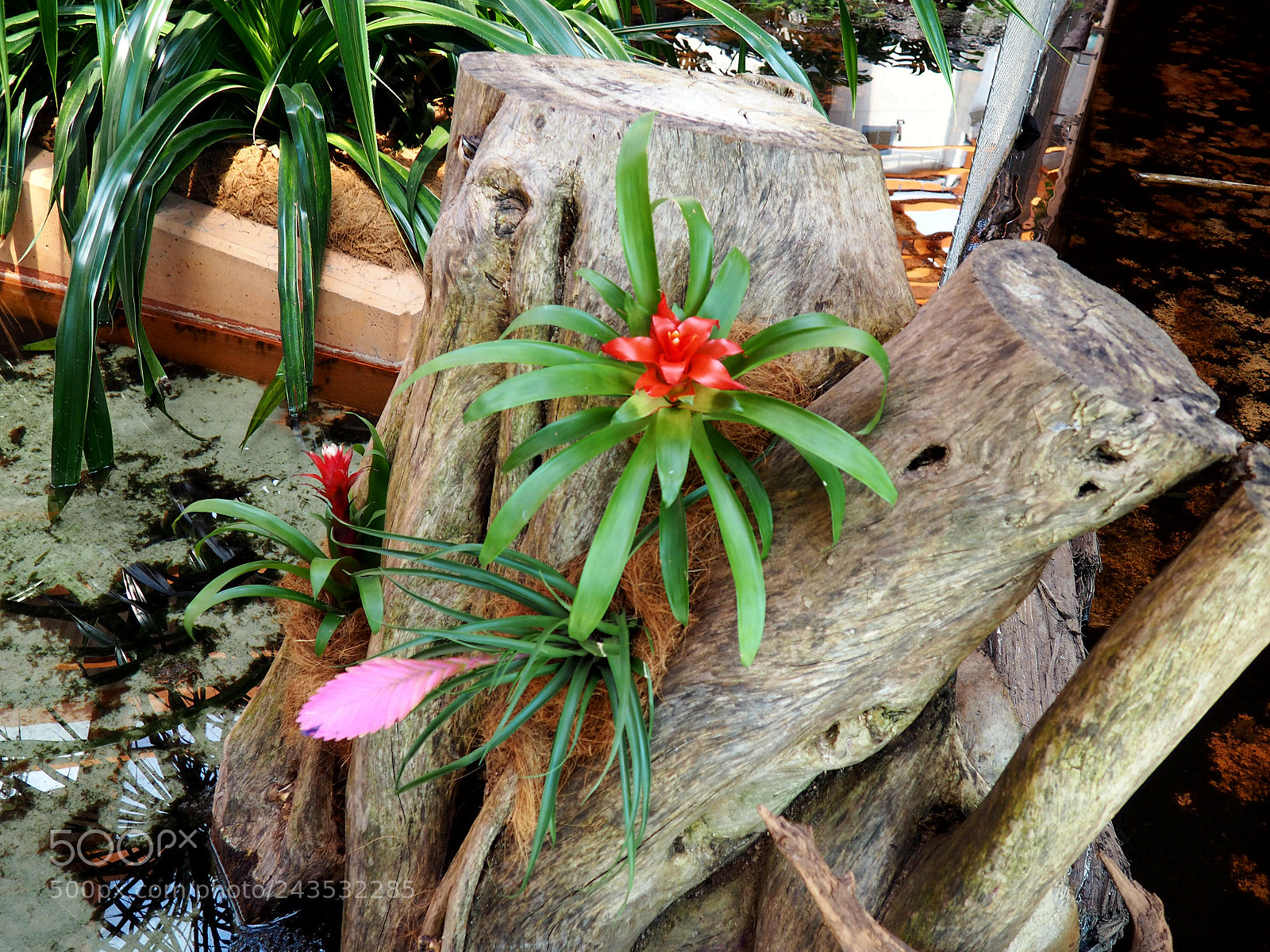 Olympus OM-D E-M10 sample photo. Untitled photography