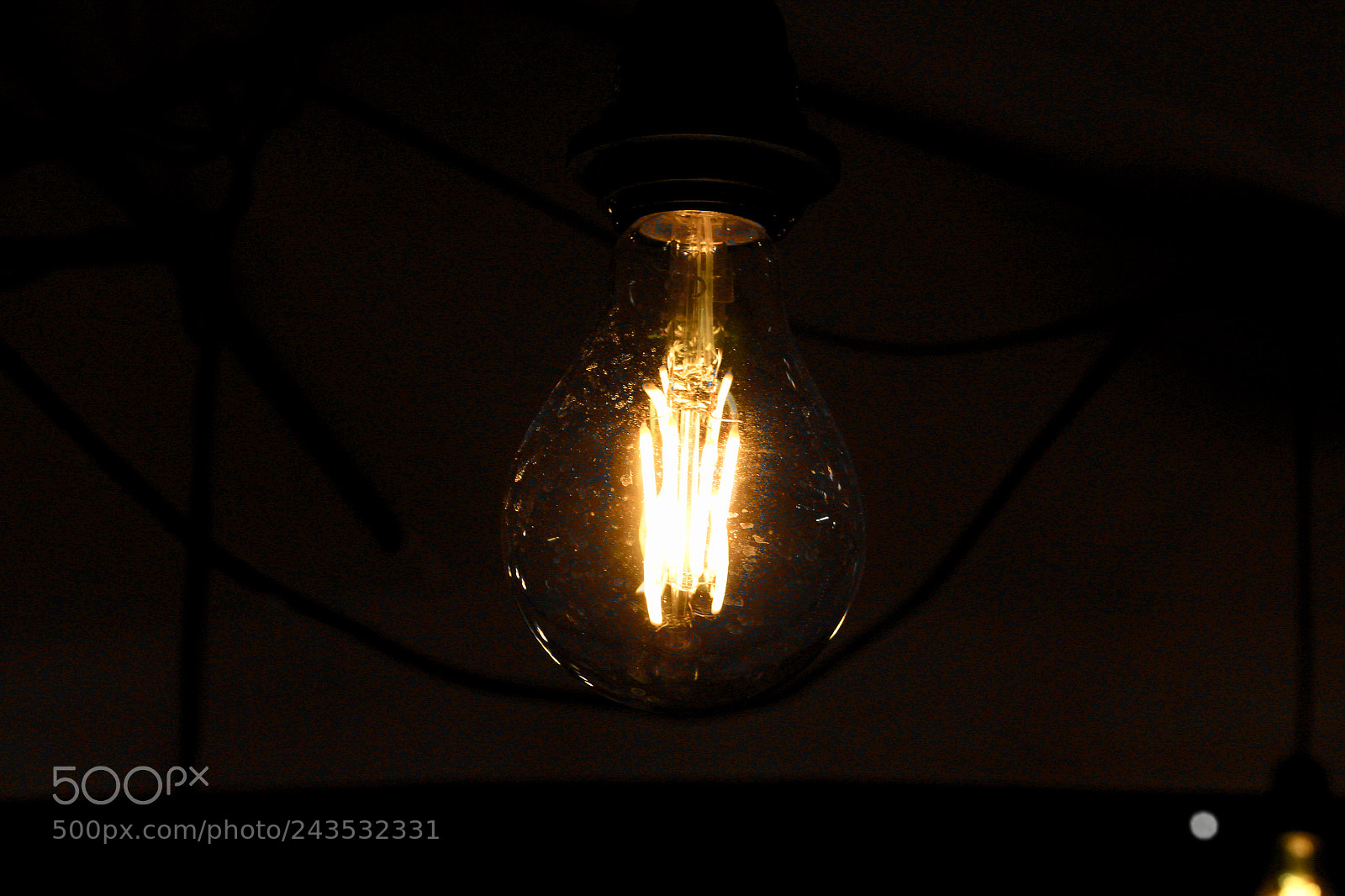 Canon EOS 100D (EOS Rebel SL1 / EOS Kiss X7) sample photo. Light bulb photography