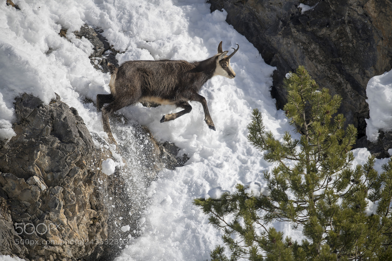 Nikon D850 sample photo. Human impossible photography