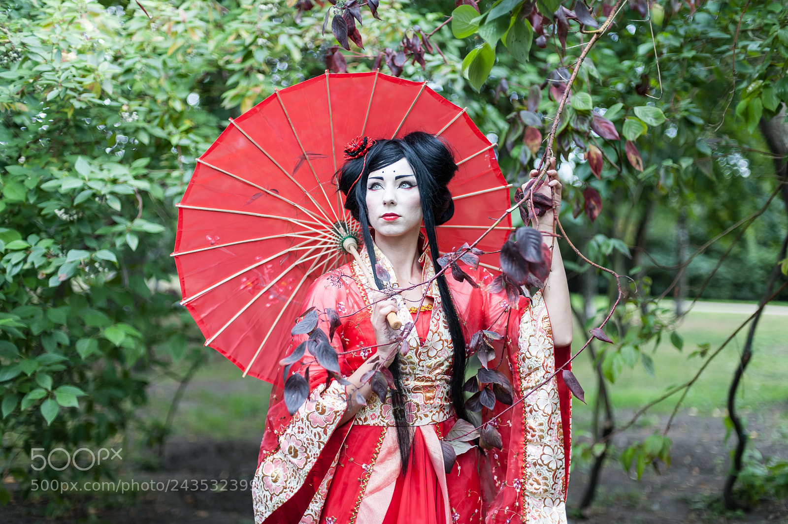 Nikon D700 sample photo. Geisha () photography