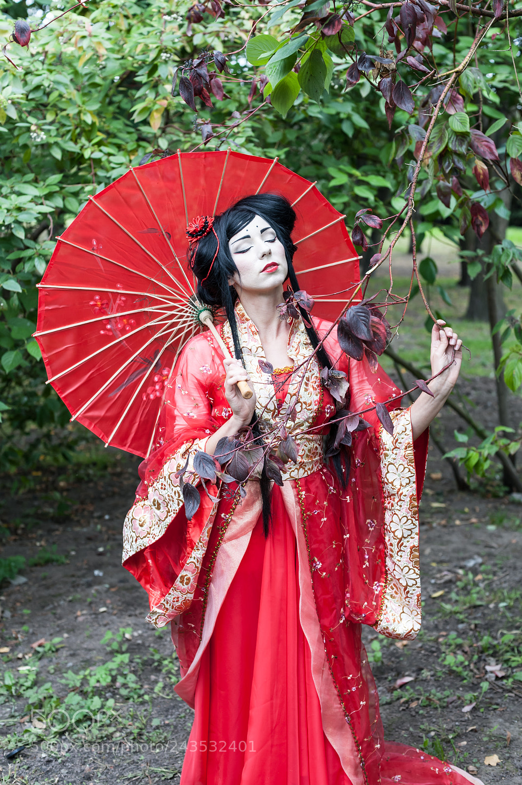Nikon D700 sample photo. Geisha () photography