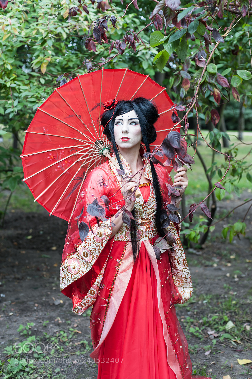 Nikon D700 sample photo. Geisha () photography