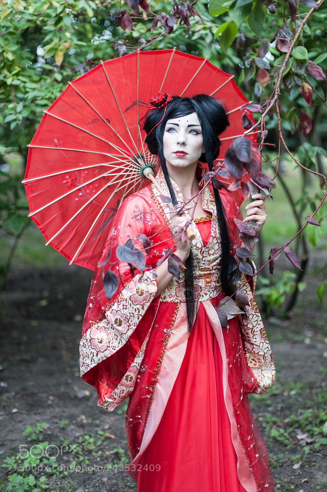 Nikon D700 sample photo. Geisha () photography