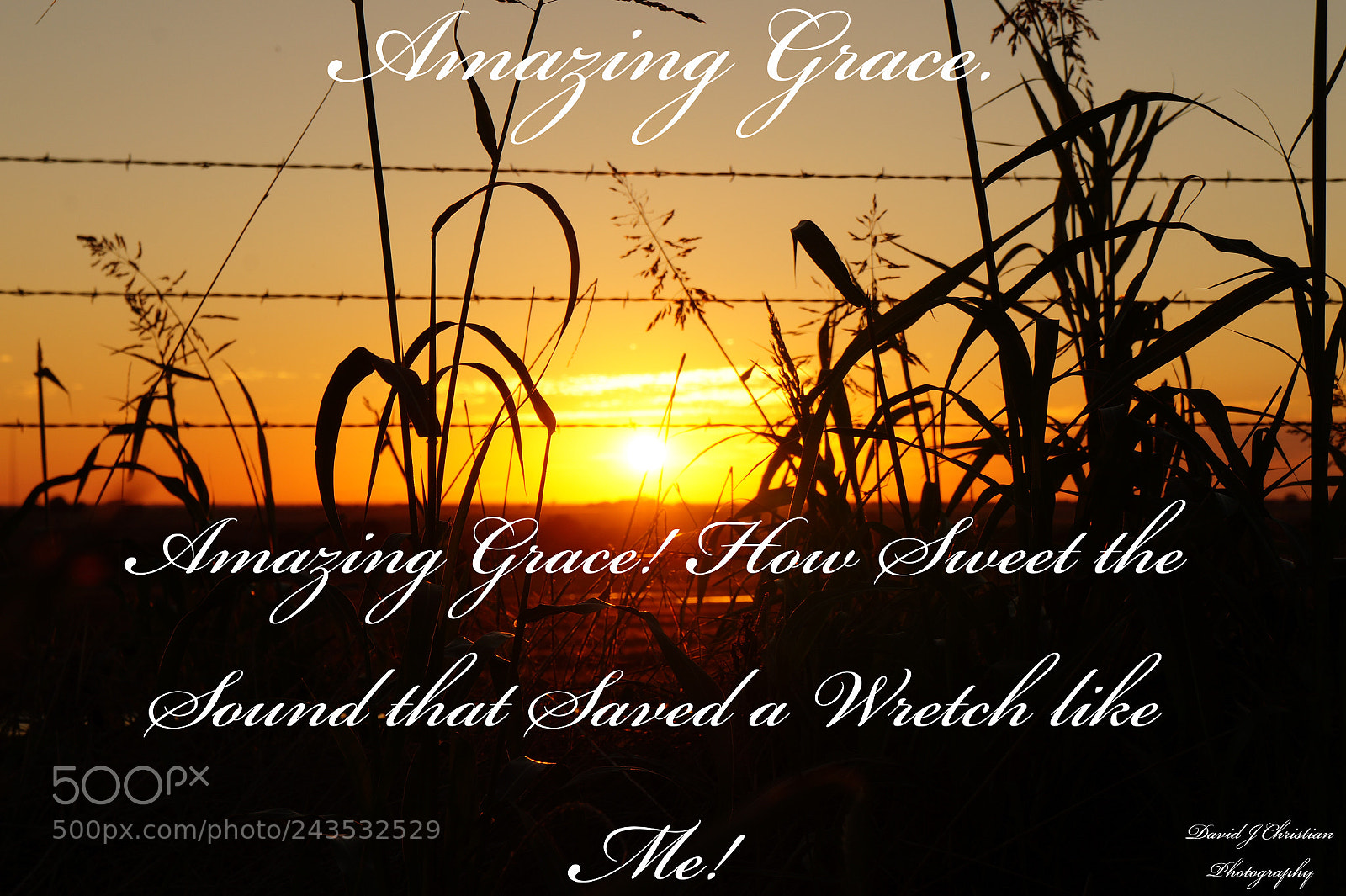 Sony Alpha a3000 sample photo. Amazing grace. photography