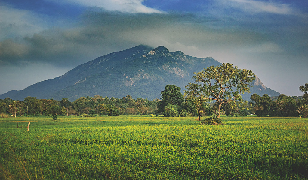 Ritigala Mountain, Sri Lanka by Son of the Morning Light on 500px.com