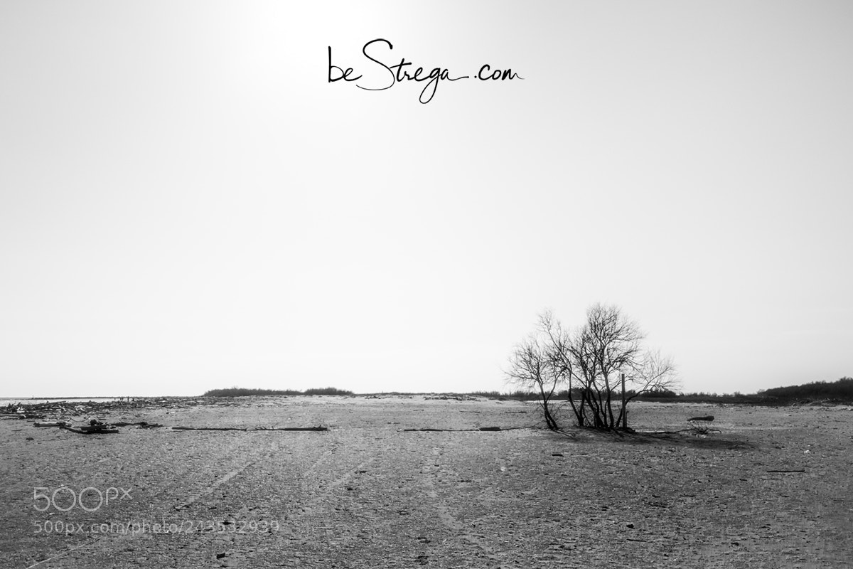 Canon EOS 60D sample photo. Spiaggia barricata - rovigo photography