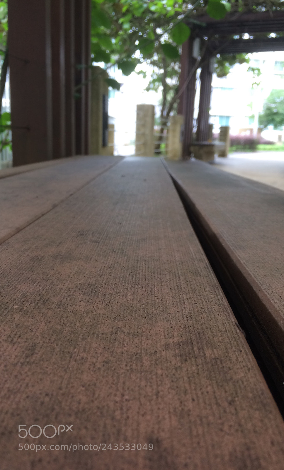 Apple iPhone 5s sample photo. 268b punggol field photography