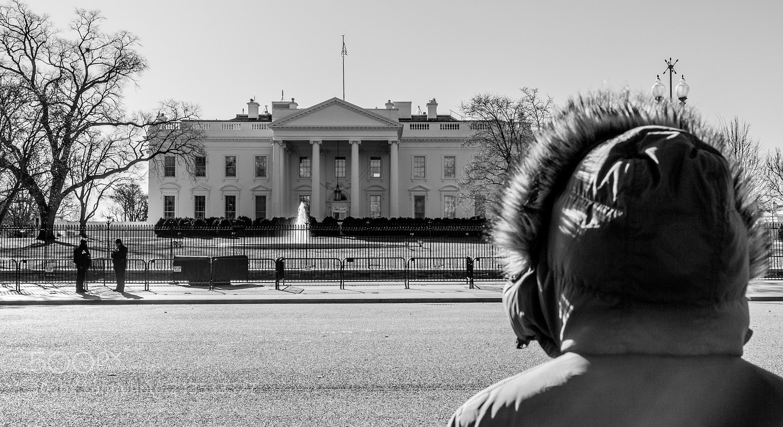 Canon EOS 550D (EOS Rebel T2i / EOS Kiss X4) sample photo. Protection for mr. trump photography