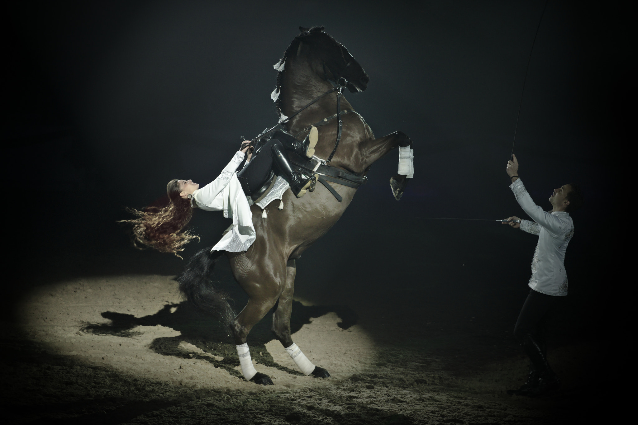 Nikon D850 sample photo. Show must go on photography