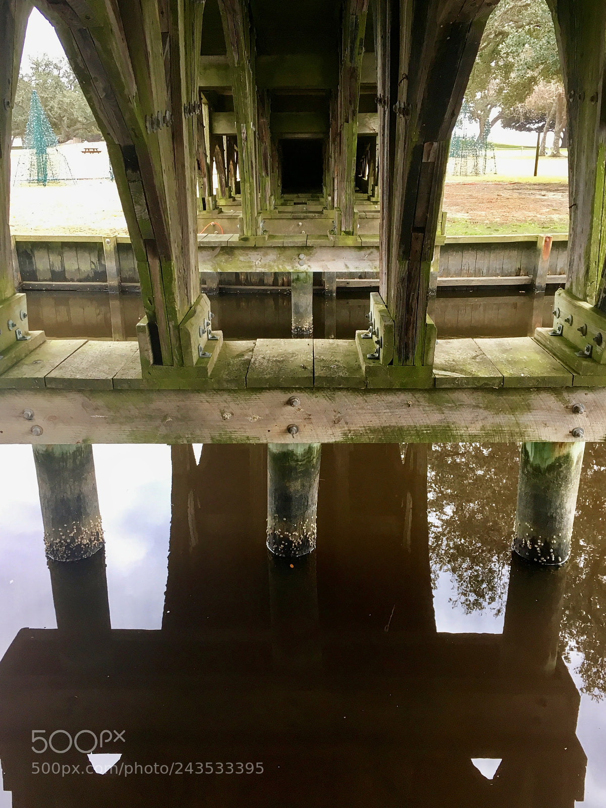 Apple iPhone SE sample photo. Under the bridge photography