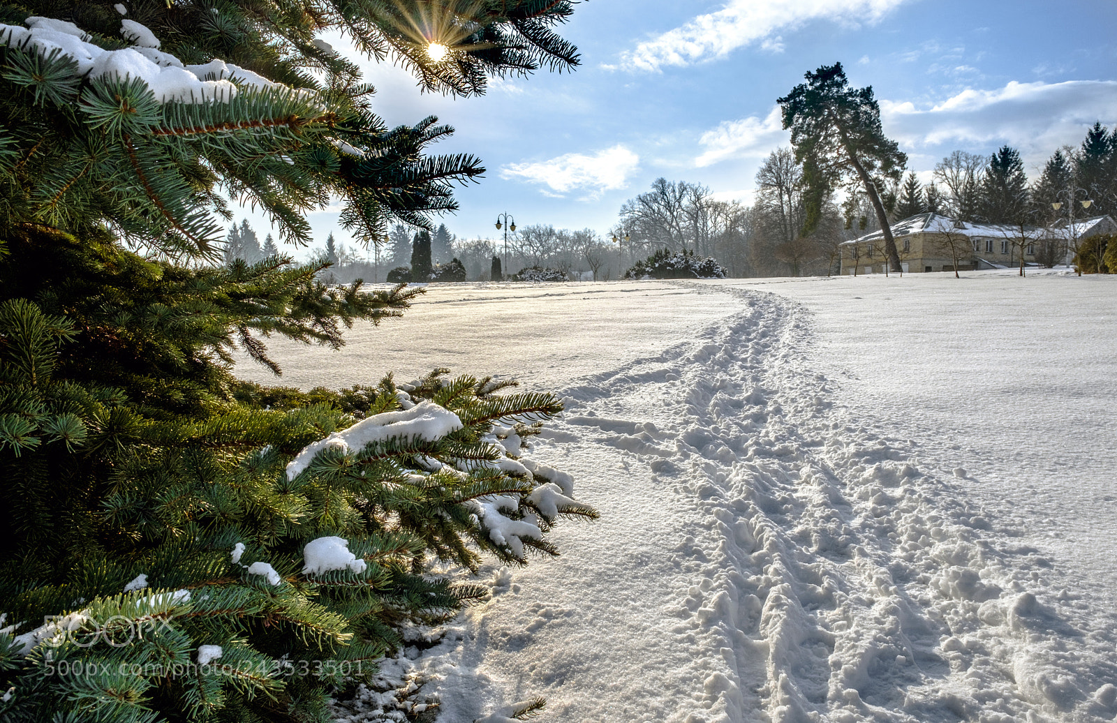 Fujifilm X-Pro2 sample photo. Frosty afternoon in the photography