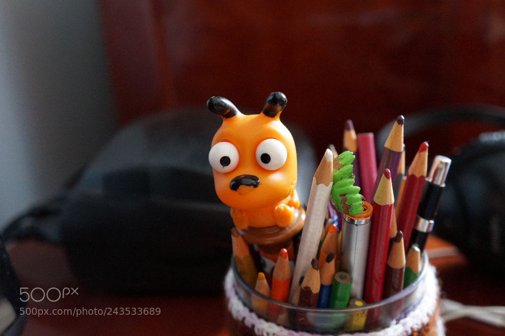 Sony Alpha a3000 sample photo. Dsc photography