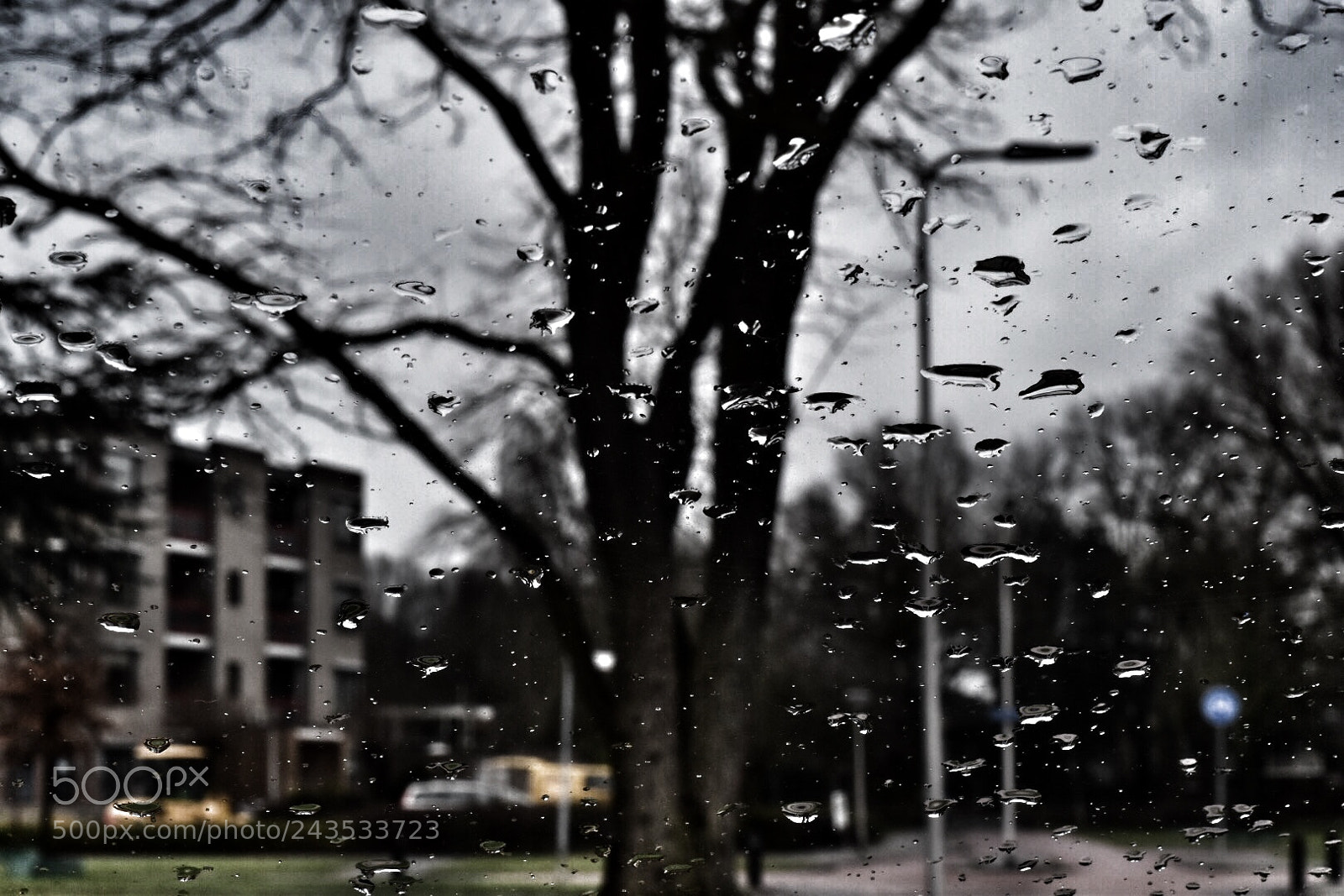 Nikon D5500 sample photo. Rainy day photography