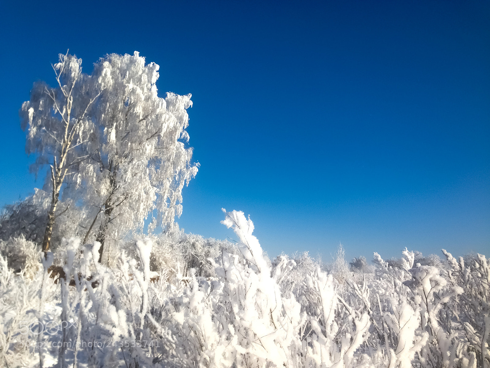 Apple iPhone 5 sample photo. Winter fairy tale  photography