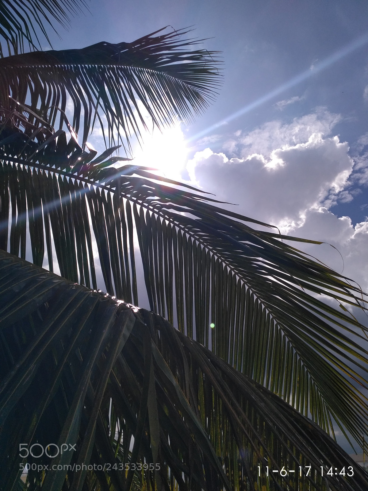 Xiaomi Redmi 3S sample photo. Peek a boo photography