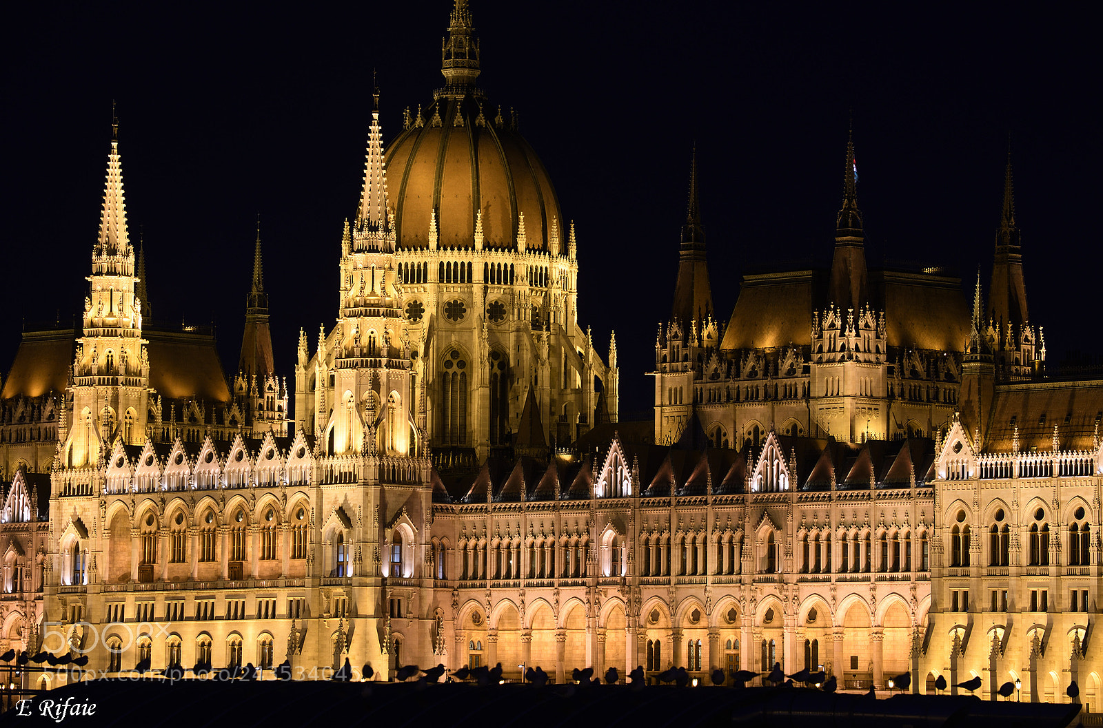 Nikon D7500 sample photo. Pigeon and parlament photography