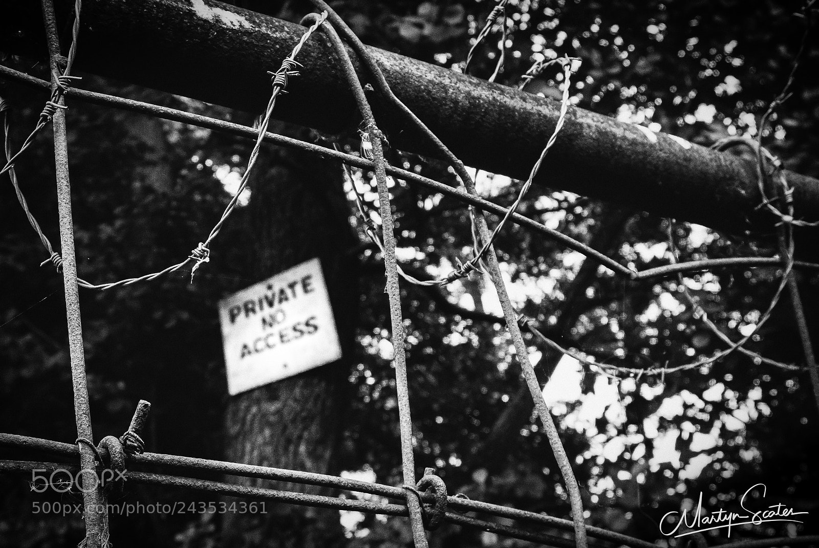 Sony Alpha a5000 (ILCE 5000) sample photo. Private photography