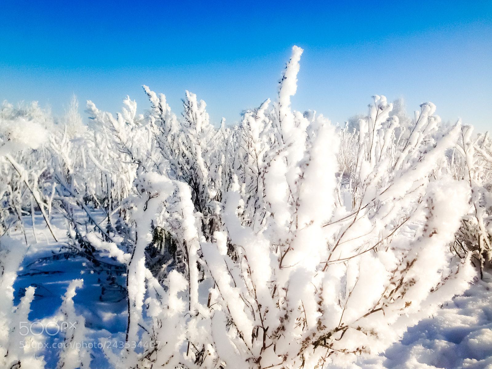 Apple iPhone 5 sample photo. Winter fairy tale (3) photography