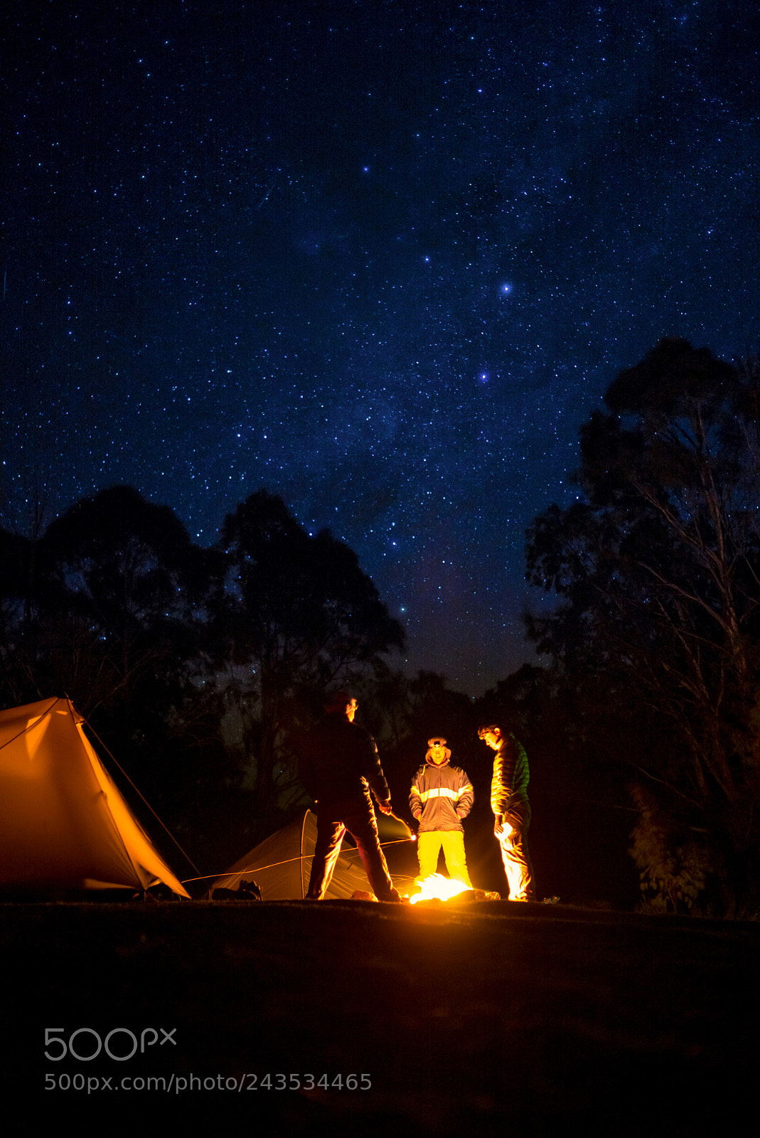 Leica M (Typ 240) sample photo. Starry night at howqua photography