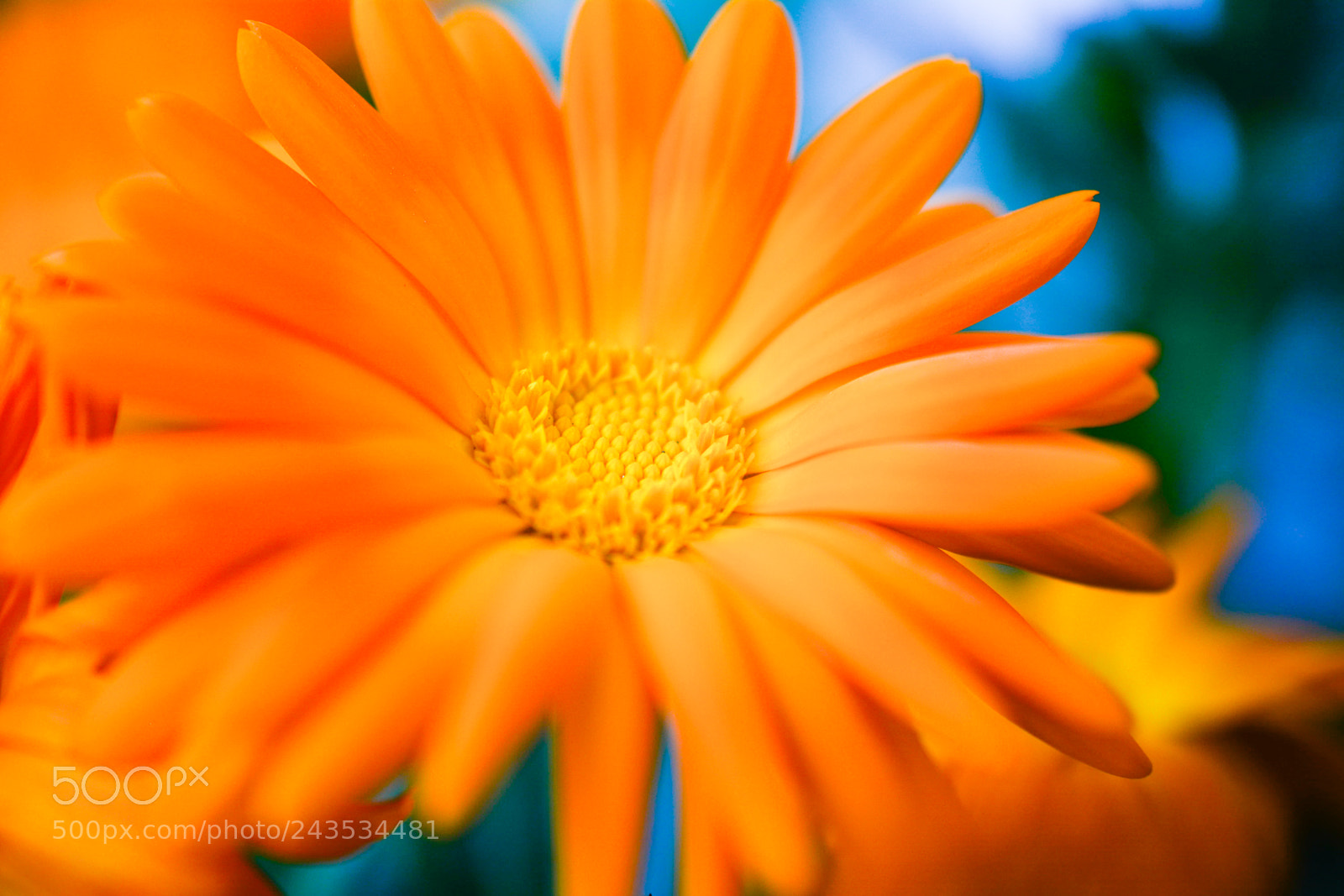 Nikon D7100 sample photo. One day in my photography