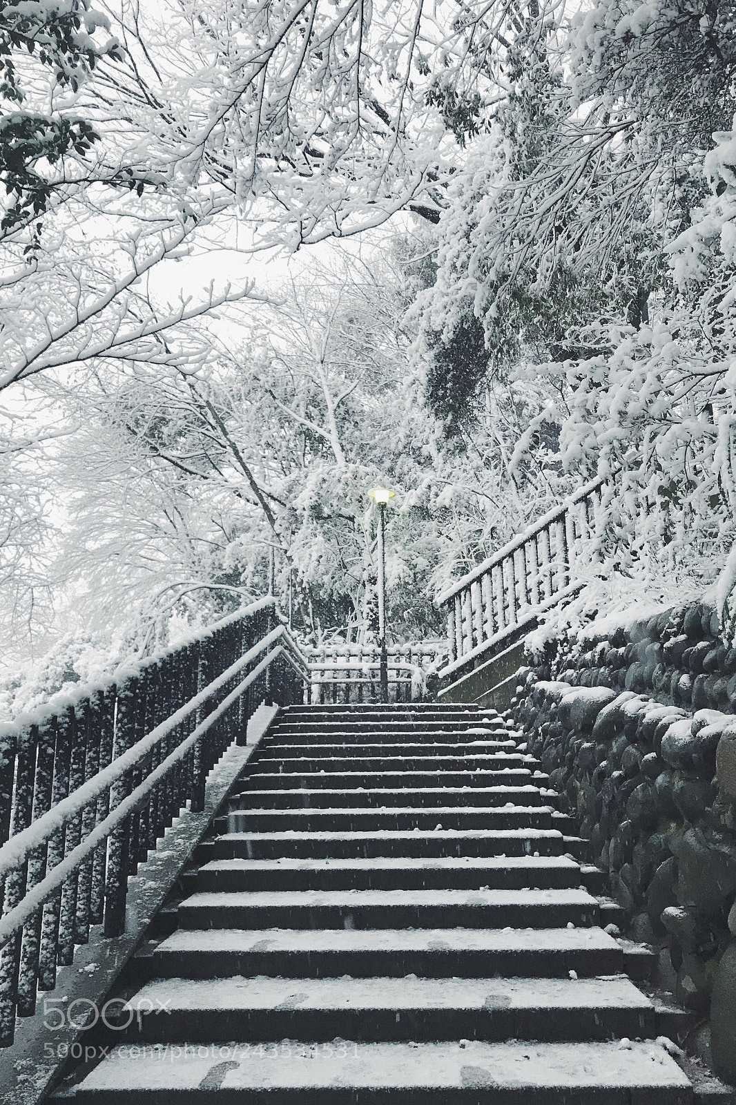 Apple iPhone 7 sample photo. Tokyo snow 2018 photography