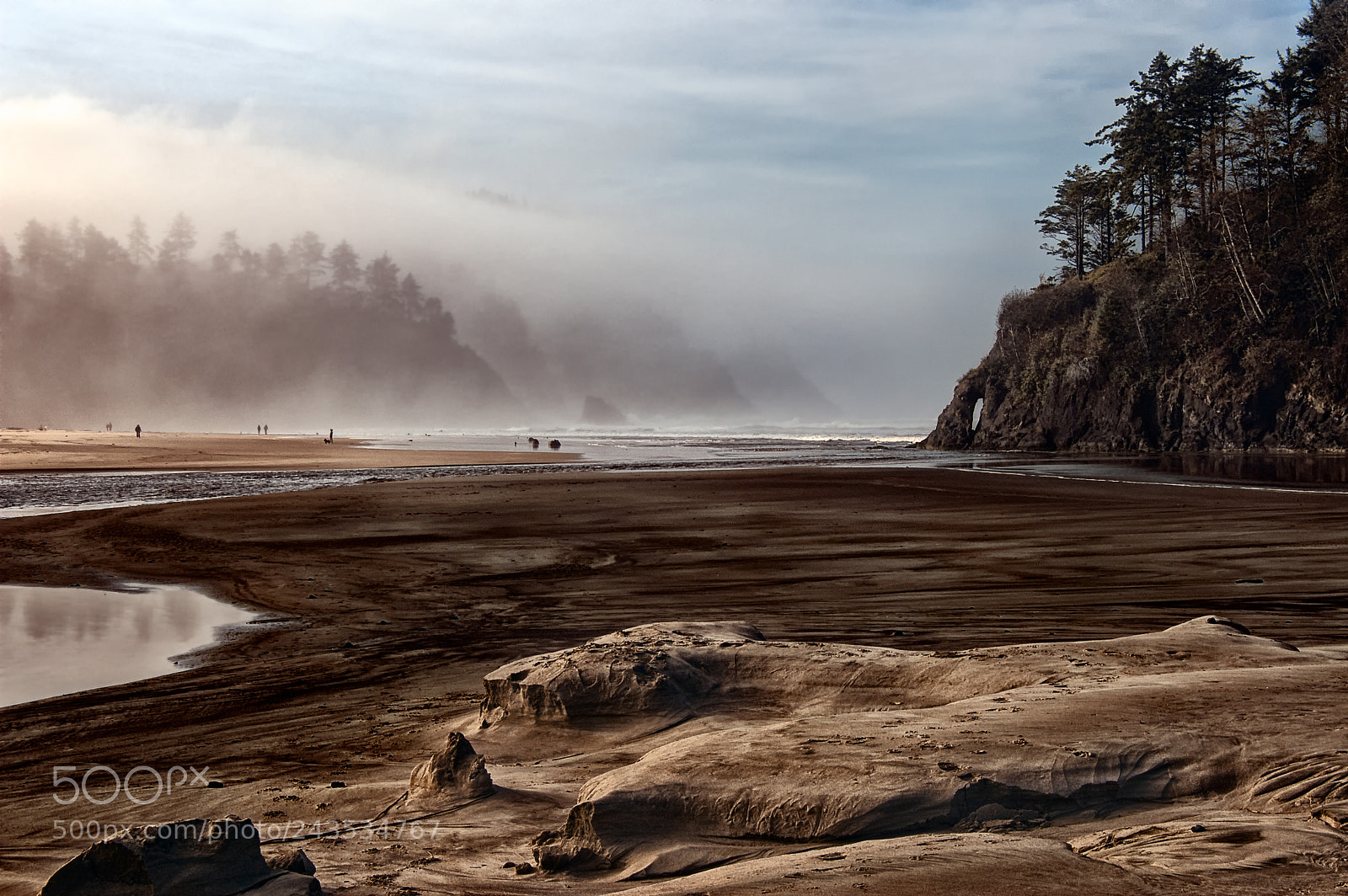 Nikon D50 sample photo. Neskowin, oregon photography