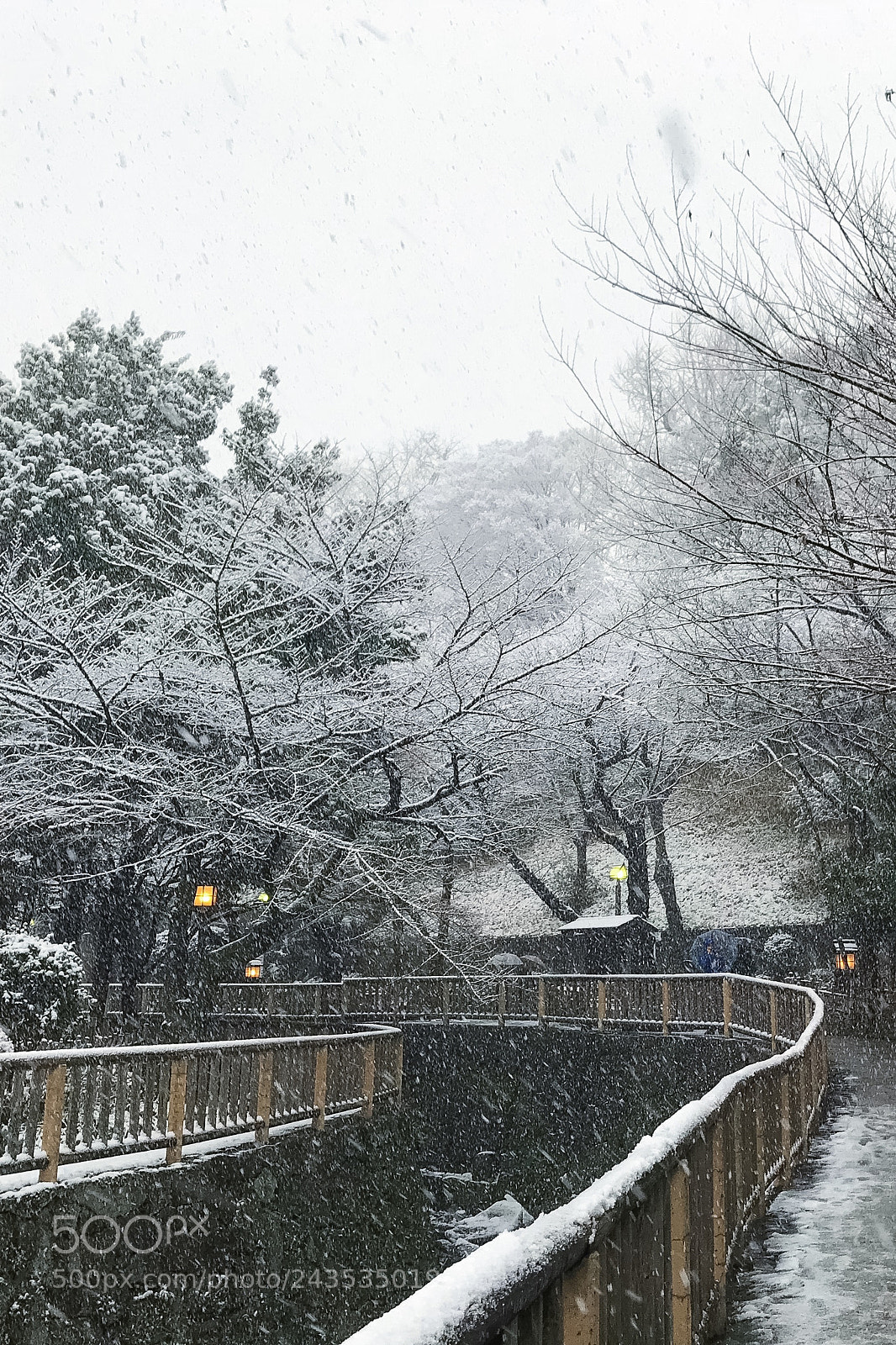 Apple iPhone 7 sample photo. Tokyo snow 2018 photography