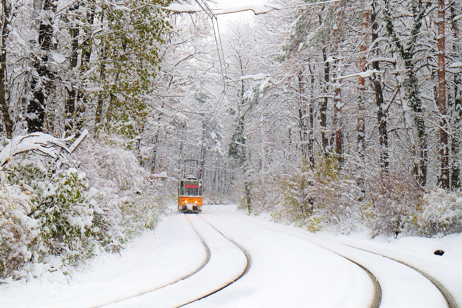 Fujifilm X-T10 sample photo. Winter photography