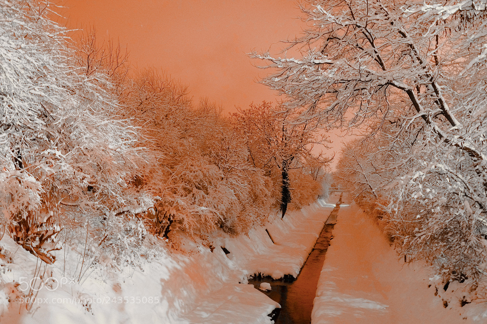 Fujifilm X-T10 sample photo. Winter morning photography