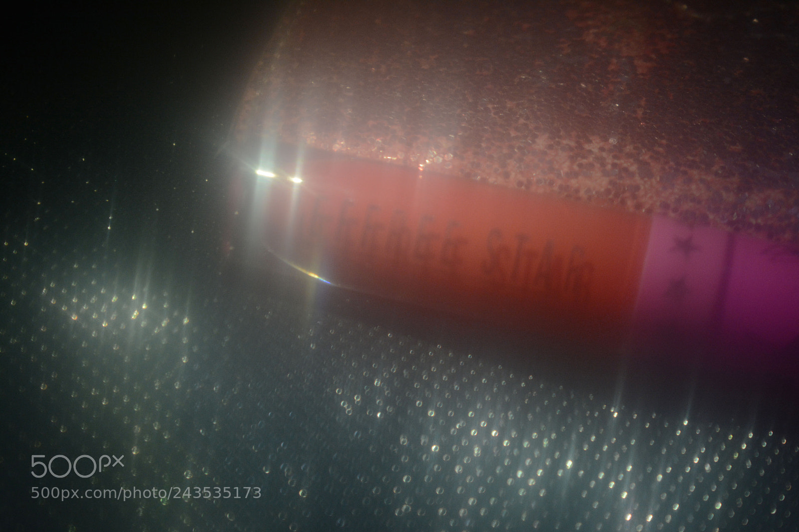 Nikon D7100 sample photo. 000.jpg photography
