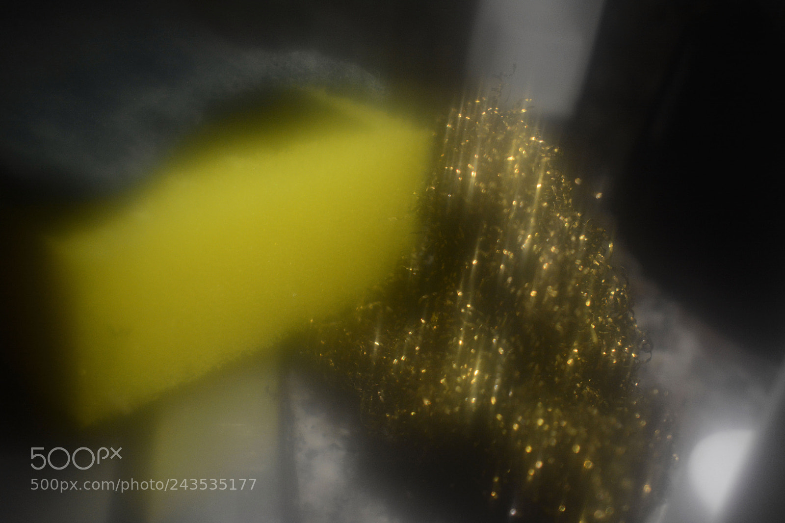 Nikon D7100 sample photo. 00000.jpg photography