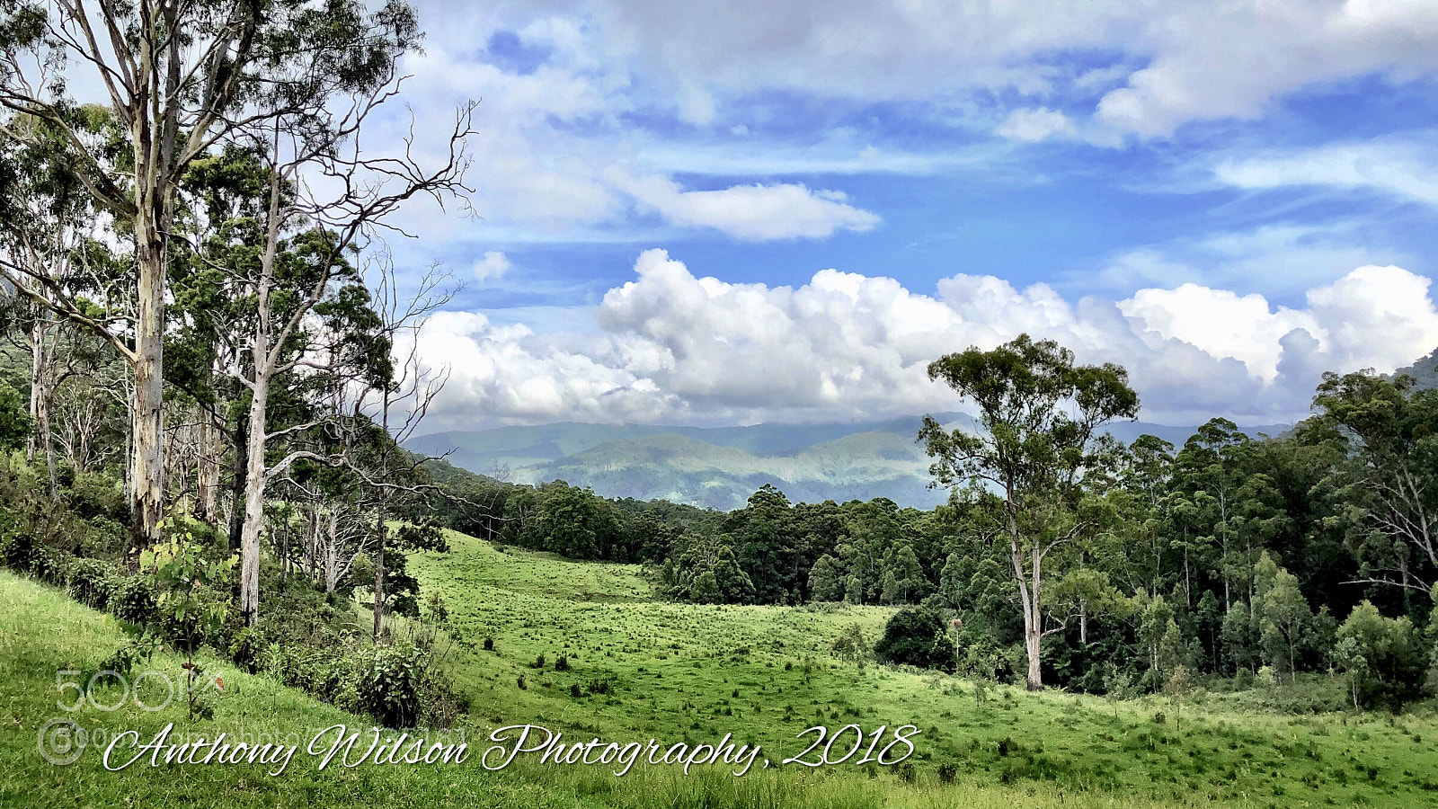 Apple iPhone 8 Plus sample photo. Mountain life. photography