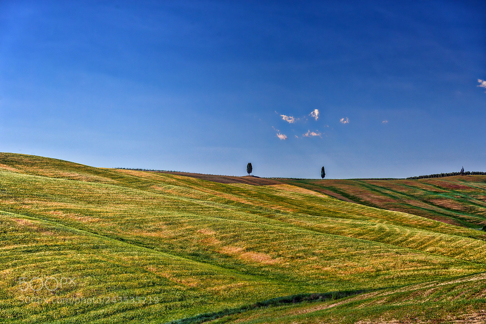 Nikon D810 sample photo. Tuscany italy and his photography