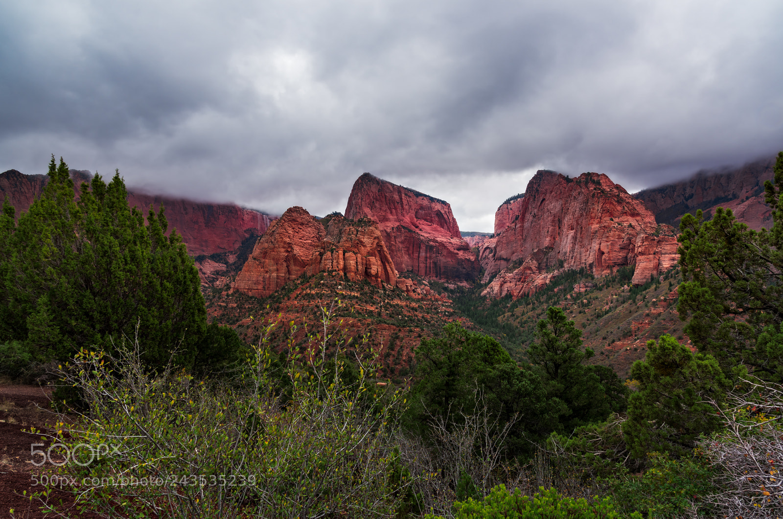 Nikon D810 sample photo. Kolob canyons, zion national photography