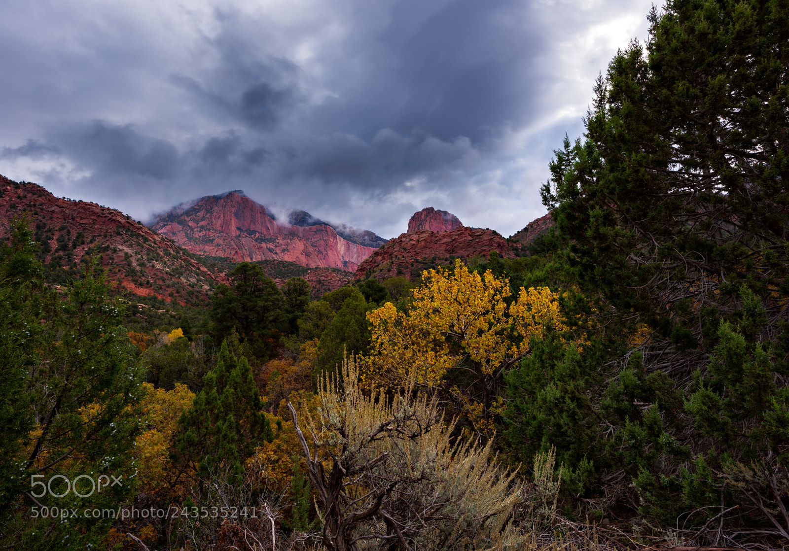 Nikon D810 sample photo. Kolob canyons, zion national photography