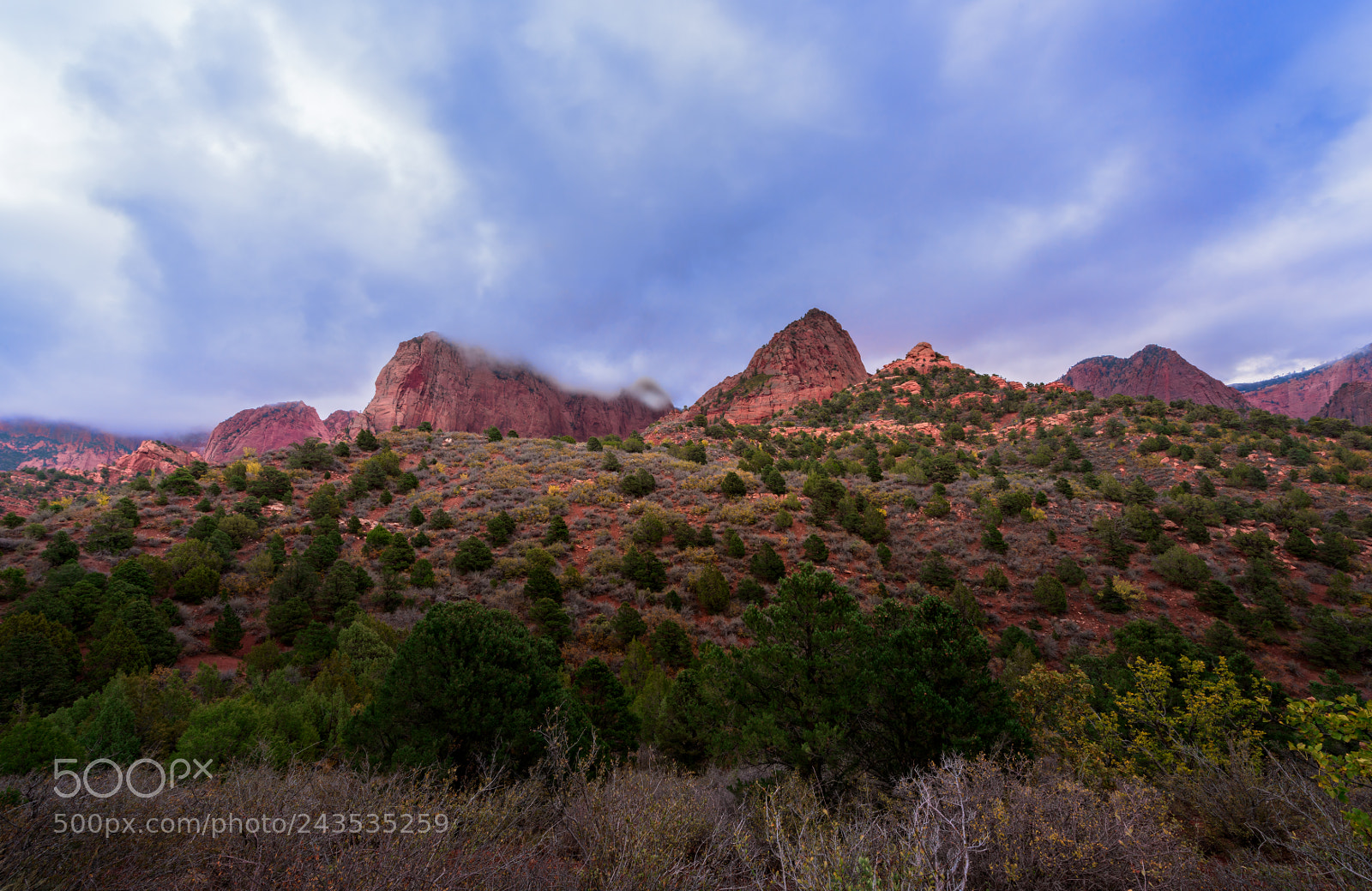Nikon D810 sample photo. Kolob canyons, zion national photography