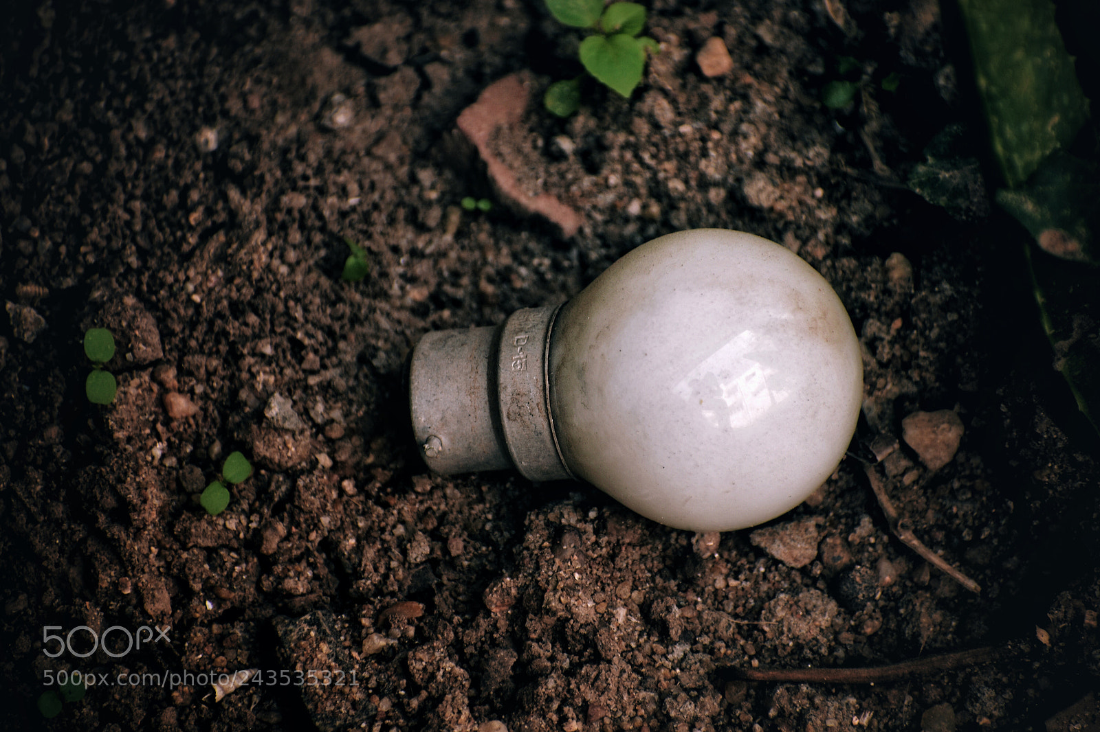Nikon D5500 sample photo. Untitled photography