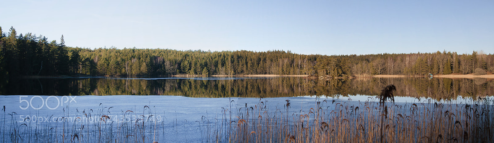 Canon EOS 50D sample photo. Lake in the woods photography