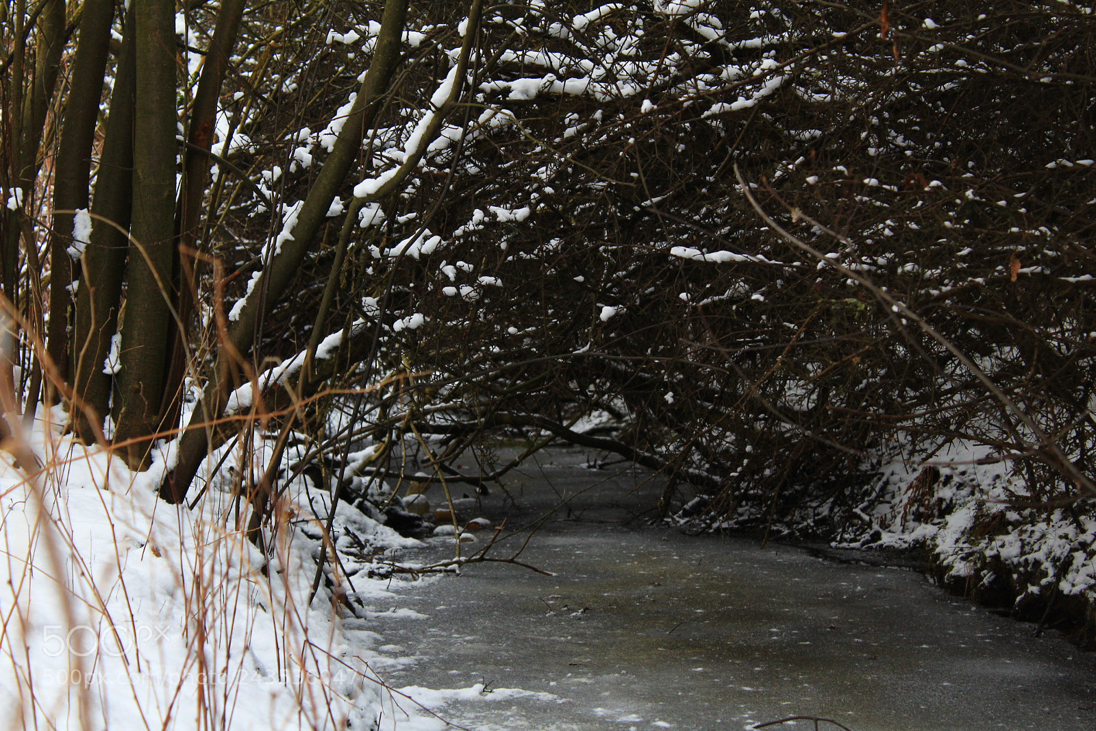 Canon EF-S 18-55mm F3.5-5.6 III sample photo. Winter tunnel photography