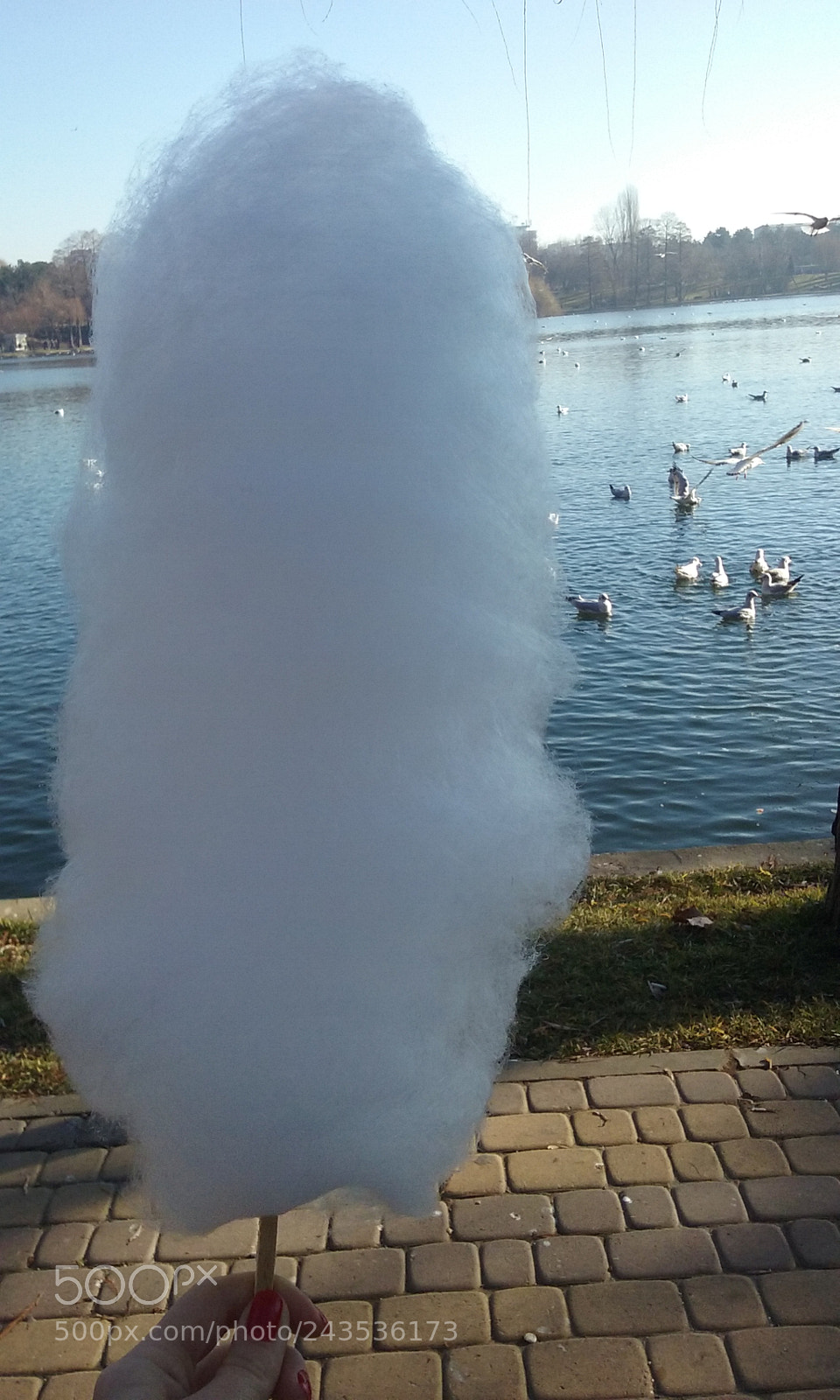 Samsung Galaxy Core Prime sample photo. Cotton candy photography