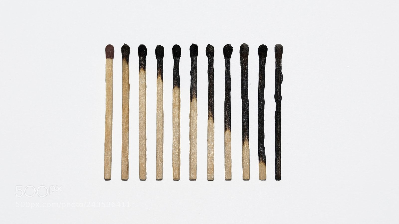 Nikon D3200 sample photo. Matches photography