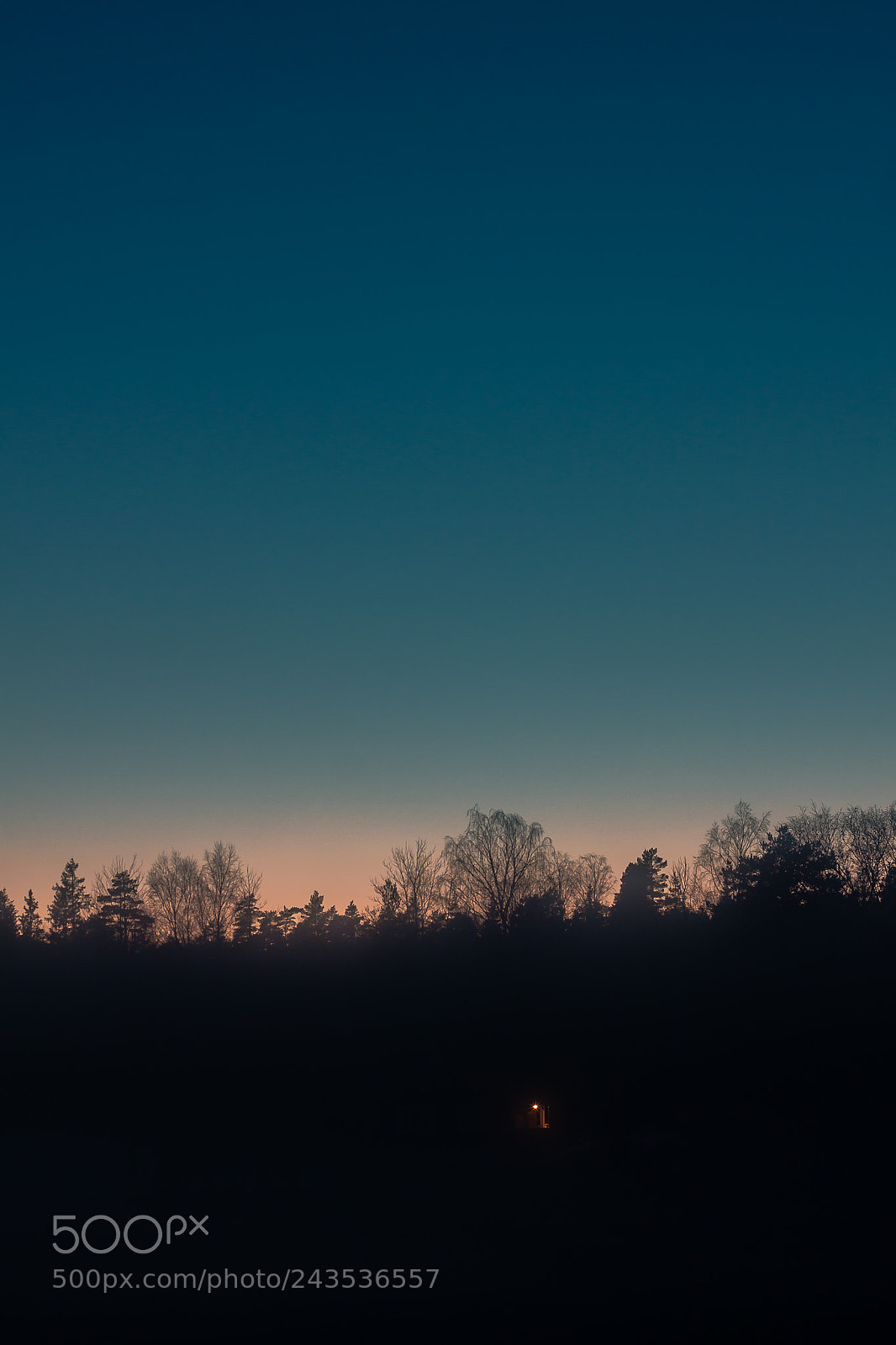 Canon EOS 50D sample photo. Dark blue sky photography