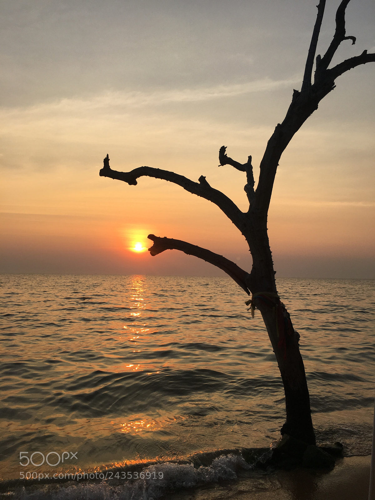 Apple iPhone 6s sample photo. Untitled photography